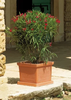 Vaso Quadro Millerighe Euro3Plast